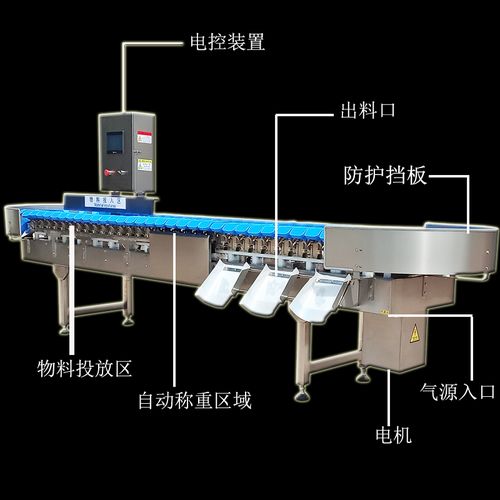鸡翅中重量分级机与鸡产品自动分拣系统 革新家禽加工行业的高效解决方案